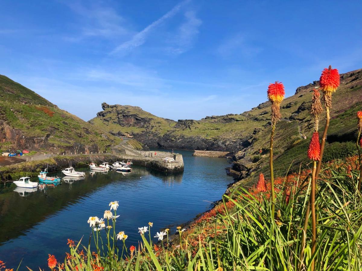 Appartamento Harbour Light Boscastle Esterno foto